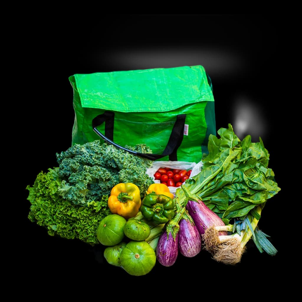 Alimentos